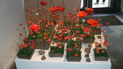Decoration De Table Avec Des Coquelicots Decoration De Table Avec Des Coquelicots