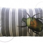 Coussin scarabée 