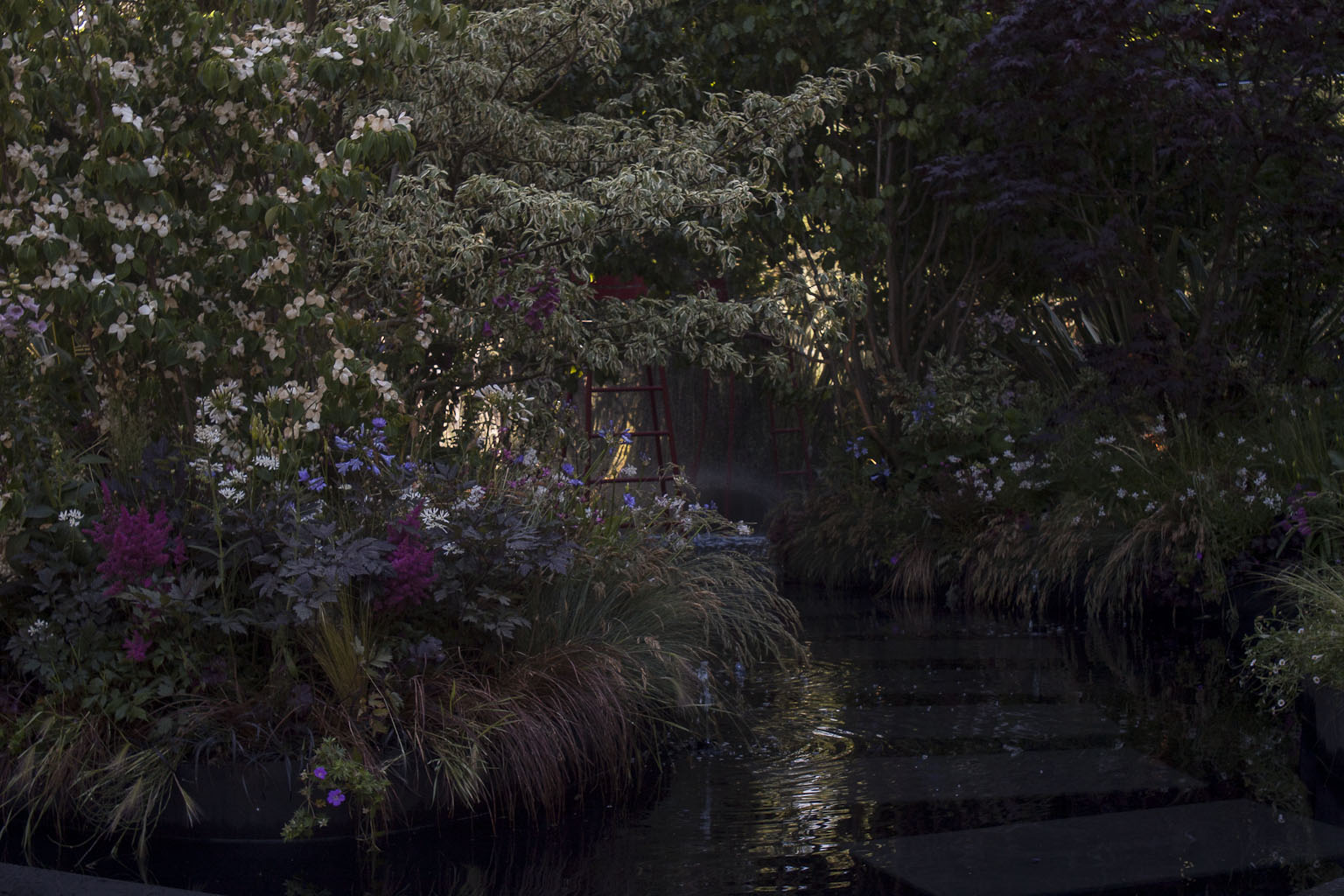 Le jardin noir - Bureau d'études Horticulture & Jardins - Jardins Jardin 2015 aux Tuileries - Paris