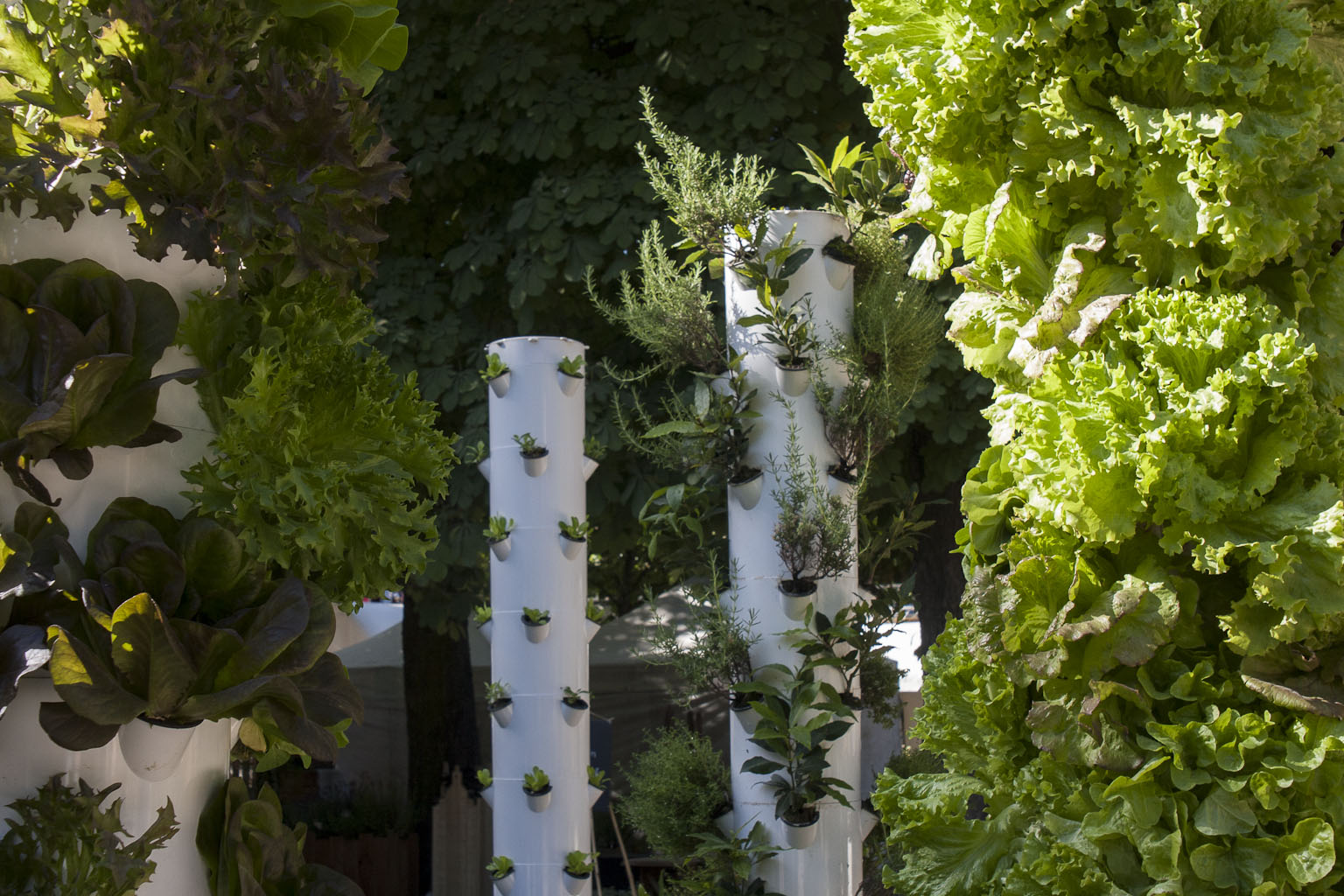 Colonnes hydroponiques - Les fermes en ville - Jardins Jardin 2015 aux Tuileries - Paris