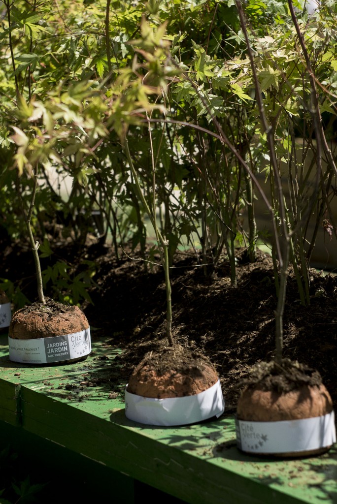 Prix Cité verte pour "Bioloop, quand la nature conquiert la ville" des capsules de biodiversité modelées en argile par Nutcreatives, Jon Marin et Alex Jimenez (Espagne) Jardins Jardin 2015 aux Tuileries - Paris