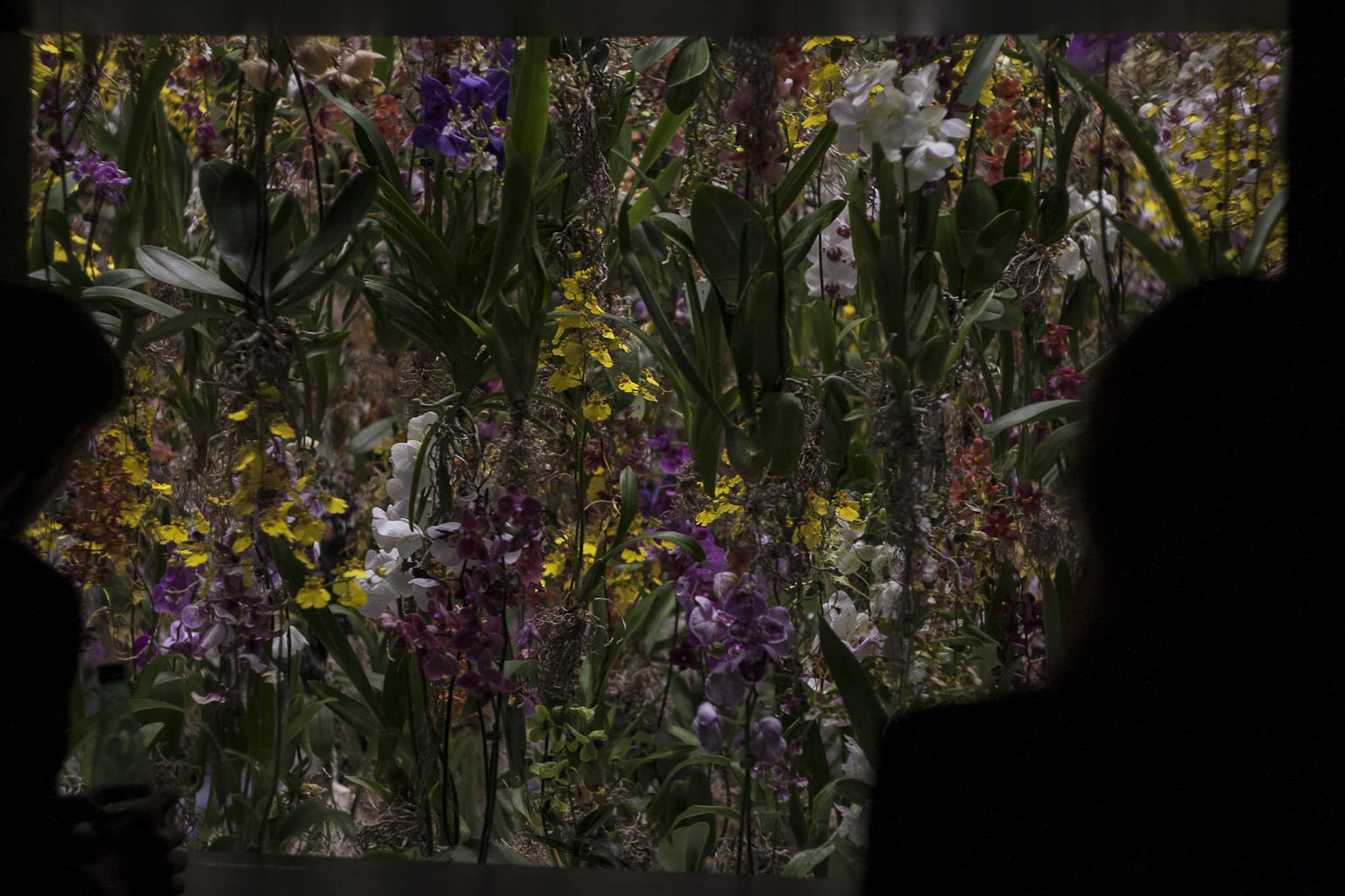 Jardin flottant par teamLab 