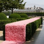 Jardins, jardin aux Tuileries 2012 en images...