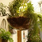 La nature en mode urbain